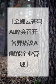 金蝶云苍穹AI峰会召开 各界热议AI赋能企业管理