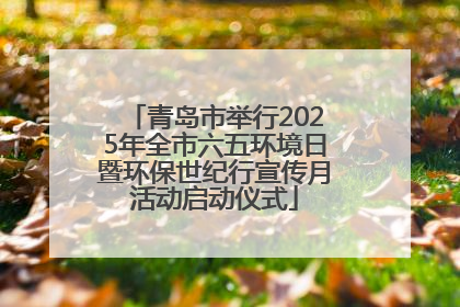 青岛市举行2025年全市六五环境日暨环保世纪行宣传月活动启动仪式