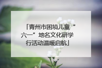 青州市困境儿童“六一”地名文化研学行活动温暖启航