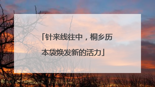 针来线往中，桐乡历本袋焕发新的活力