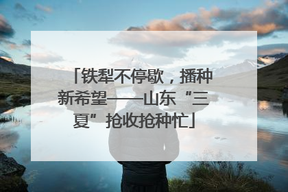 铁犁不停歇，播种新希望——山东“三夏”抢收抢种忙