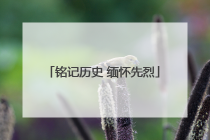 铭记历史 缅怀先烈