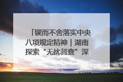 锲而不舍落实中央八项规定精神｜湖南探索“无扰督查”深化基层减负