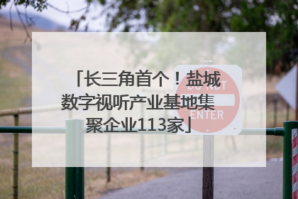 长三角首个！盐城数字视听产业基地集聚企业113家