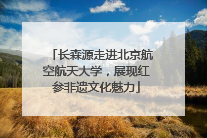 长森源走进北京航空航天大学，展现红参非遗文化魅力