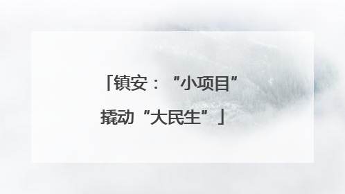 镇安：“小项目”撬动“大民生”