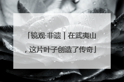 镜观·非遗｜在武夷山，这片叶子创造了传奇