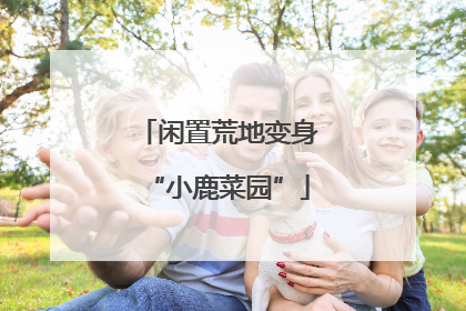 闲置荒地变身“小鹿菜园”