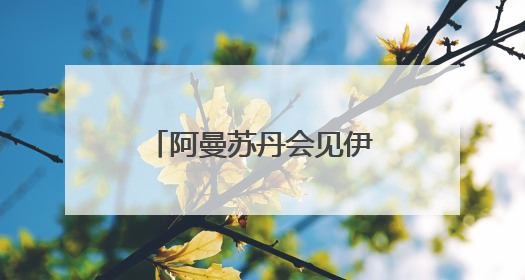 阿曼苏丹会见伊朗总统 讨论地区局势和双边关系