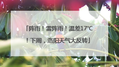 阵雨！雷阵雨！温差17℃！下周，洛阳天气大反转