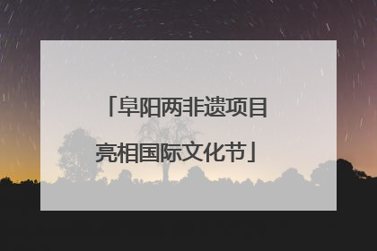 阜阳两非遗项目亮相国际文化节