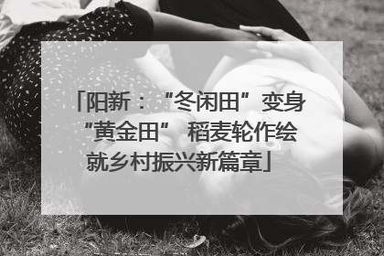 阳新：“冬闲田”变身“黄金田” 稻麦轮作绘就乡村振兴新篇章
