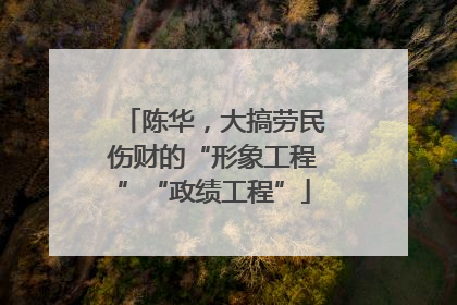 陈华，大搞劳民伤财的“形象工程”“政绩工程”