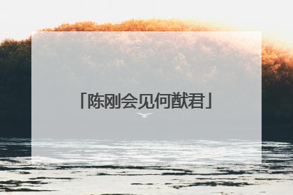 陈刚会见何猷君