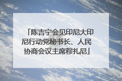 陈吉宁会见印尼大印尼行动党秘书长、人民协商会议主席穆扎尼