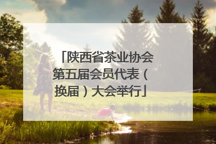 陕西省茶业协会第五届会员代表（换届）大会举行