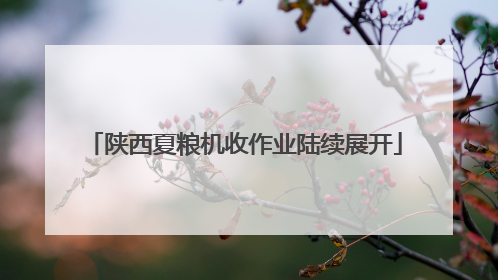 陕西夏粮机收作业陆续展开
