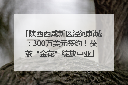 陕西西咸新区泾河新城：300万美元签约！茯茶“金花”绽放中亚