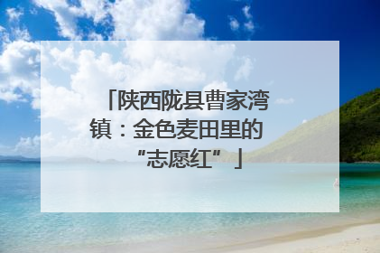 陕西陇县曹家湾镇：金色麦田里的“志愿红”