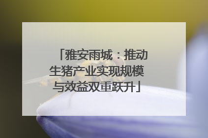 雅安雨城：推动生猪产业实现规模与效益双重跃升