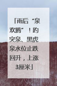 雨后“泉欢腾”！趵突泉、黑虎泉水位止跌回升，上涨3厘米
