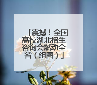震撼！全国高校湖北招生咨询会燃动全省（组图）