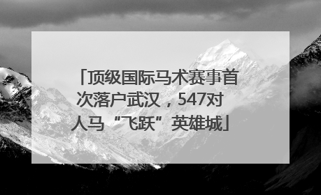 顶级国际马术赛事首次落户武汉，547对人马“飞跃”英雄城