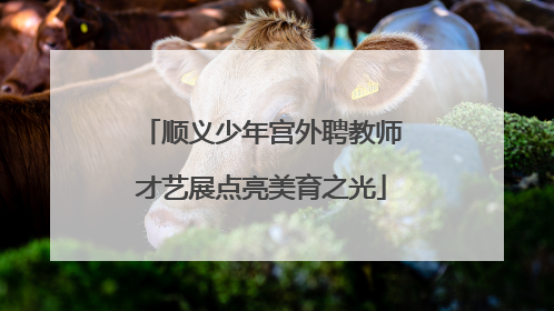 顺义少年宫外聘教师才艺展点亮美育之光