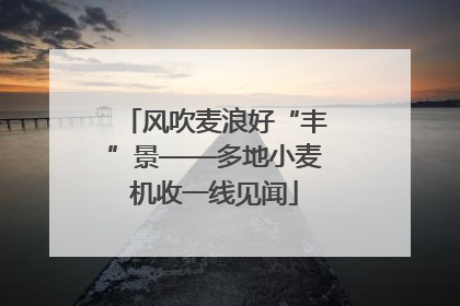 风吹麦浪好“丰”景——多地小麦机收一线见闻
