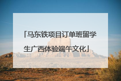 马东铁项目订单班留学生广西体验端午文化