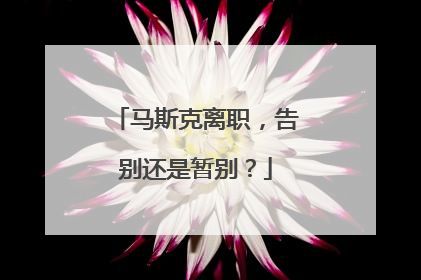 马斯克离职，告别还是暂别？