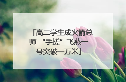 高二学生成火箭总师 “手搓”飞燕一号突破一万米