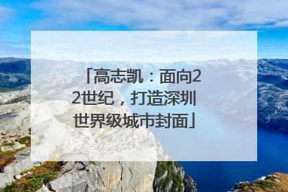 高志凯：面向22世纪，打造深圳世界级城市封面