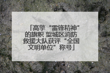 高擎“雷锋精神”的旗帜 望城区消防救援大队获评“全国文明单位”称号