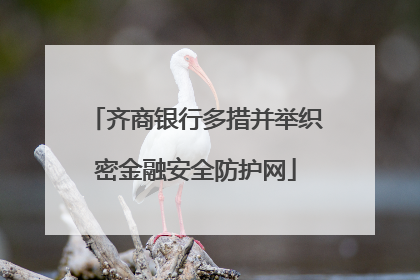 齐商银行多措并举织密金融安全防护网