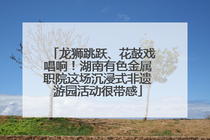 龙狮跳跃、花鼓戏唱响！湖南有色金属职院这场沉浸式非遗游园活动很带感