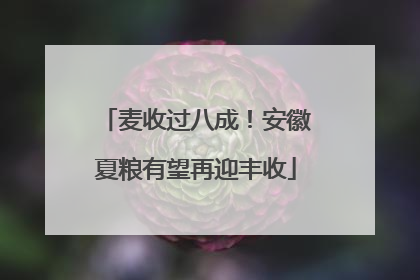 麦收过八成！安徽夏粮有望再迎丰收
