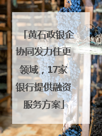 黄石政银企协同发力住更领域，17家银行提供融资服务方案