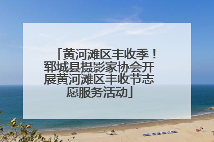 黄河滩区丰收季！郓城县摄影家协会开展黄河滩区丰收节志愿服务活动