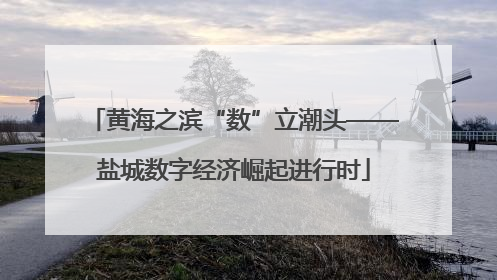 黄海之滨“数”立潮头——盐城数字经济崛起进行时