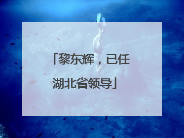 黎东辉，已任湖北省领导