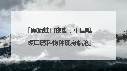 黑顶蛙口夜鹰，中国唯一蟆口鸱科物种现身临沧