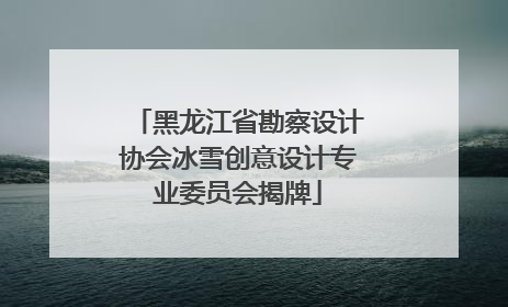 黑龙江省勘察设计协会冰雪创意设计专业委员会揭牌