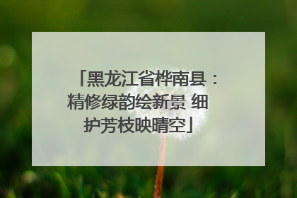 黑龙江省桦南县：精修绿韵绘新景 细护芳枝映晴空