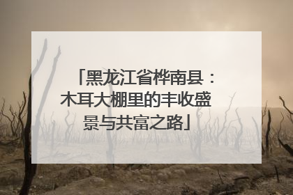 黑龙江省桦南县：木耳大棚里的丰收盛景与共富之路