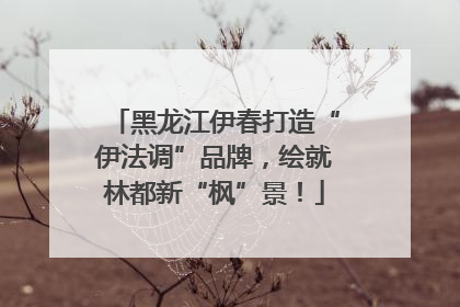 黑龙江伊春打造“伊法调”品牌，绘就林都新“枫”景！