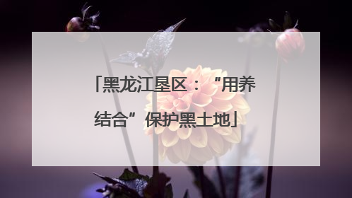黑龙江垦区：“用养结合”保护黑土地