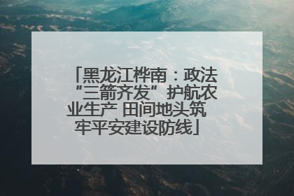 黑龙江桦南：政法“三箭齐发”护航农业生产 田间地头筑牢平安建设防线