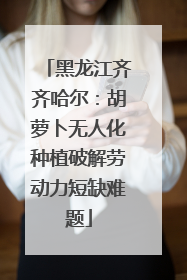 黑龙江齐齐哈尔：胡萝卜无人化种植破解劳动力短缺难题