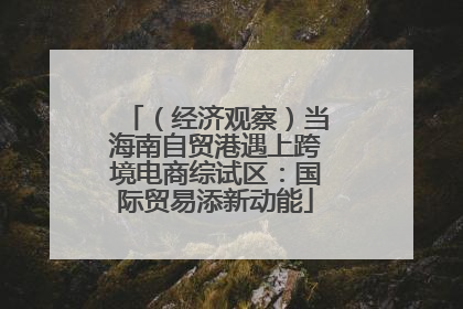 （经济观察）当海南自贸港遇上跨境电商综试区：国际贸易添新动能